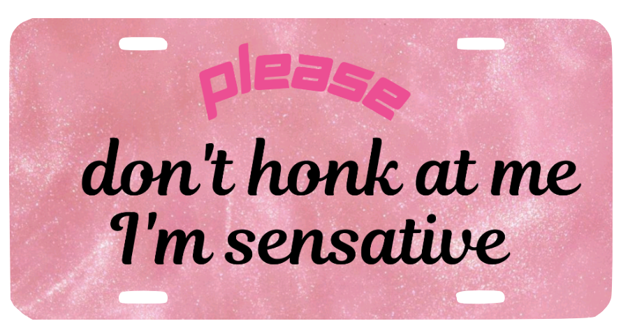 Please Don't Honk Car Tag